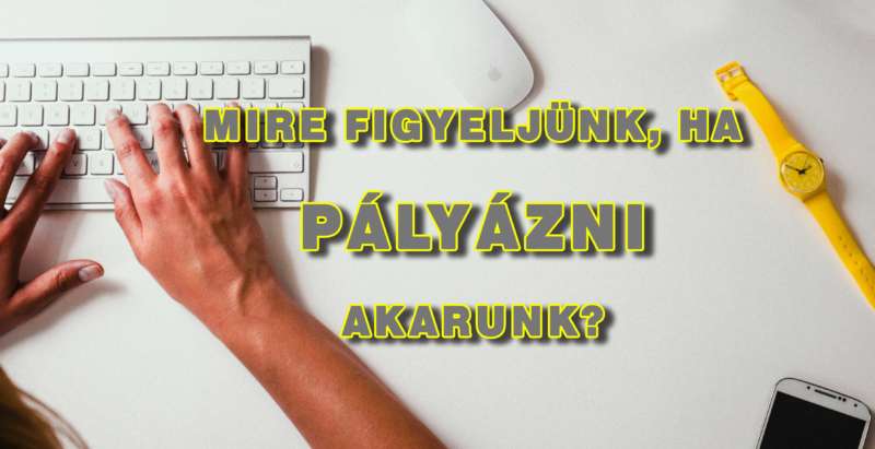 pályázat