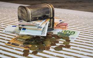 bani euro