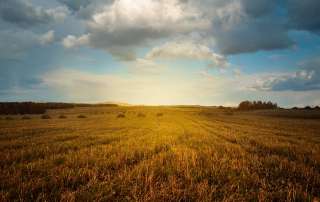 rural