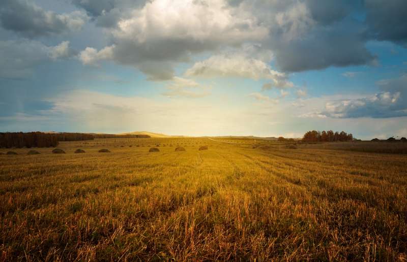 rural